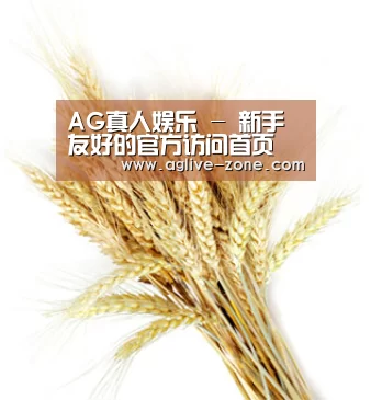 AG真人娱乐 - 新手友好的官方访问首页