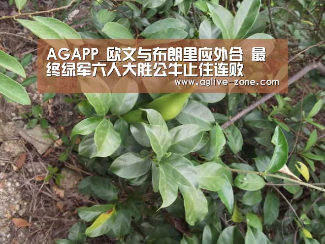 AGAPP_欧文与布朗里应外合 最终绿军六人大胜公牛止住连败(图3) AG百家乐