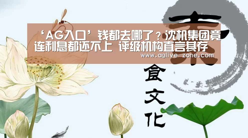 ‘AG入口’钱都去哪了?沈机集团竟连利息都还不上 评级机构直言其存管理漏洞(图3) ‘AG入口’钱都去哪了?沈机集团竟连利息都还不上 评级机构直言其存管理漏洞(图3)