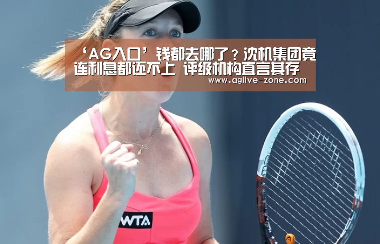 ‘AG入口’钱都去哪了?沈机集团竟连利息都还不上 评级机构直言其存管理漏洞(图2) AG入口