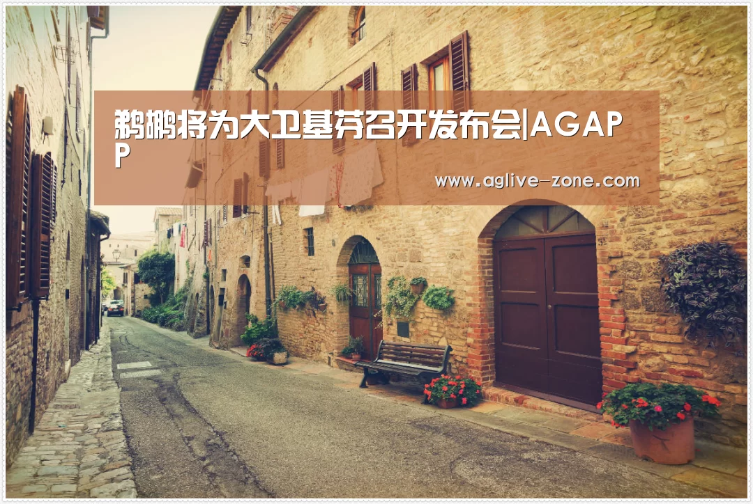 AG百家乐